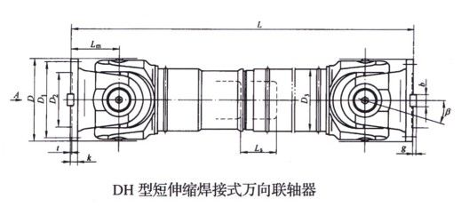 DH型短伸縮焊接式萬向蜜桃免费视频