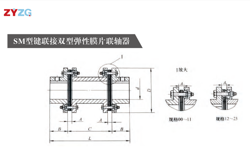 SM型鍵連接雙型彈性膜片蜜桃免费视频